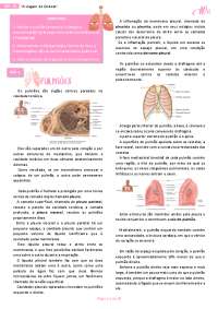 Fisiologia Respiratória: Trocas Gasosas, Ventilação Pulmonar e Embolia Pulmonar
