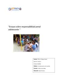 ensayo responsabilidad penal adolescente