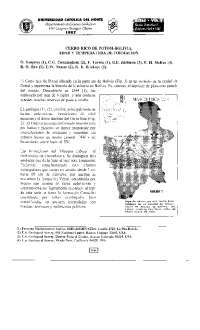 Geología del Cerro Rico de Potosí