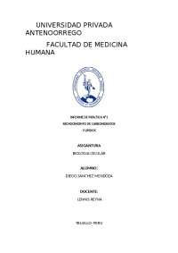 Informe de practica n1 Biologia celular Upao