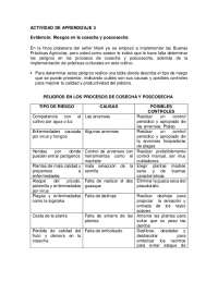 Riesgos en la Cosecha y Poscosecha del Plátano: Buenas Prácticas Agrícolas - Prof. Aldana 