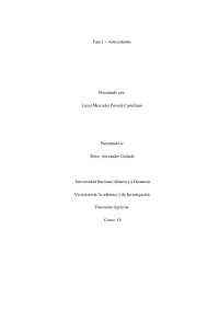 Fase 1 – Antecedentes