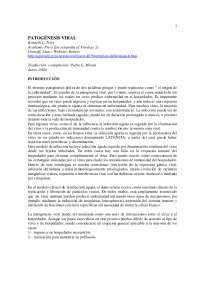 Ciclo de Infección Viral: Mecanismos de Entrada, Replicación y Diseminación