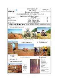 Implantação Florestal