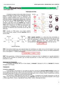 Tradução de RNA e Síntese Proteica: Genética Molecular