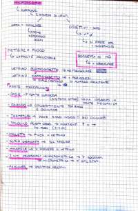 Il microscopio ottico - Docsity