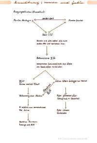 romeo und julia handlung