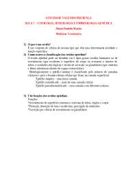 questoes dissertativas