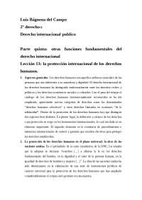 RESUMEN TEMA 13 LA PROTECCION INTERNACIONAL DE LOS DERECHOS HUMANOS ...