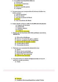 Ejercicio preguntas y respuesta