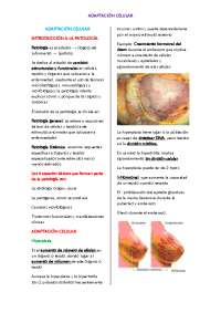 Patología de la Adaptación Celular: Hiperplasia, Hipertrófia, Atrofia y Metaplasia