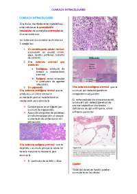 Cumulos Intracelulares: Acumulacion Anomala de Substancias en las Celdas