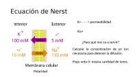 Explicación de la ecuación de Nerst