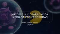 Autofagia y degradación mediada por fagosomas