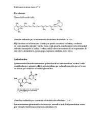 Carotenos, Antocianinas, Betalains y Flavonoides: Propiedades, Colores y Fuentes