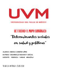 Actividad 11 mapa semántico UVM desarrollo humano y social | Esquemas y ...