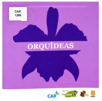 Orquídeas: La Fascinante Familia de Flores Monocotiledóneas