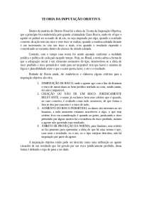 Teoria da Imputação Objetiva: Princípios e Criterios