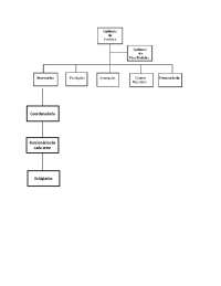 Organograma estratégico de prefeituras
