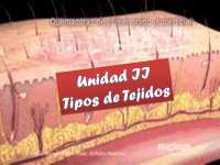 Morfología de los tejidos corporales.