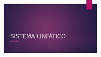 Sistema linfático -  Histologia II