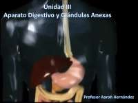 Histología del Aparato Respiratorio.