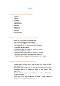 resumo global da disciplina de espanhol