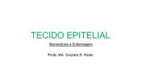 Anáлиse do Tecido Epitelial: Funções, Características e Tipos