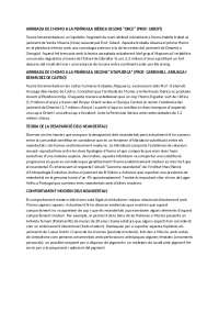 Preguntas tipo examen PHPI (primera parte)