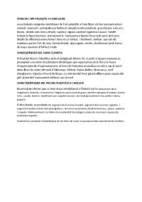 Preguntas tipo examen PHPI (primera parte)