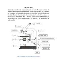 Apuntes de biologia de plantas