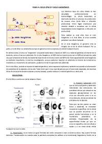 Ciclo lítico y ciclo lisogénico.