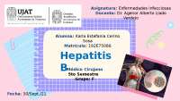Hepatitis B, Virus (características y patogenia), Cuadro clínico, Transmisión, etc.