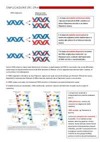 Duplicazione del DNA 1 - Docsity