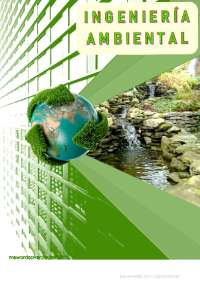 Documento de carga contaminante