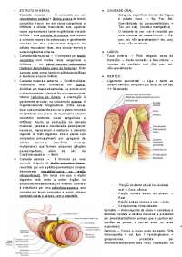 Histologia do Sistema Digestório: Uma Visão Microscópica Completa