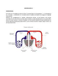 Lectura 8: hidrodinamica IIArchivo