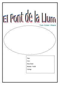 Resumen de capitulos 1 del libro el pont de la llum