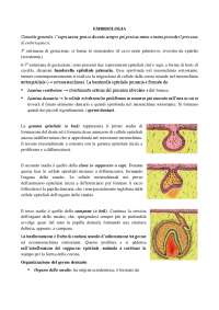 Embriologia ed anatomia del parodonto