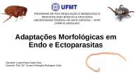 Alterações morfológicas endo e ectoparasitas - Docsity