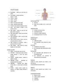 Anatomia do corpo humano