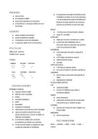 Introdução à Biologia Celular: Procariontes, Eucariontes e Organelas