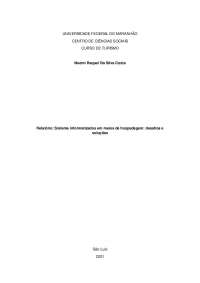 Relatório: Sistema informatizados em meios de hospedagem: desafios e soluções