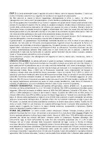Riassunto "Qualcosa di nuovo sotto il Sole"
