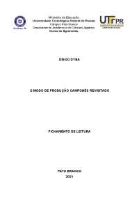O MODO DE PRODUÇÃO CAMPONÊS REVISITADO