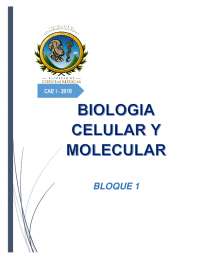 Biologia Final- Moleculas y celulas biologia | Apuntes de Biología ...