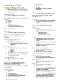 Overview of the Respiratory System: Anatomy, Physiology, and Common Diseases