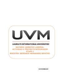 Proyecto Integrador Etapa 2 derecho Laboral
