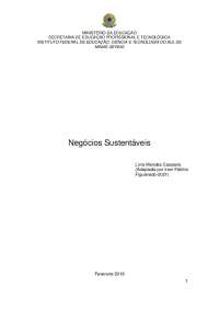 Responsabilidade Social Empresarial: Negócios Sustentáveis e Triple Bottom Line