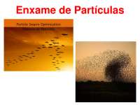 Slides - Enxame de Partículas